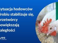 BIG InfoMonitor: Branża drobiarska znów w stresie i z rosnącymi zaległościami 