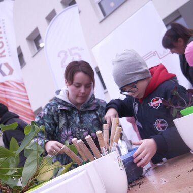 Zielona akcja wolontariuszy KGHM i wychowanków Ośrodka Szkolno-Wychowawczego w Lubinie  (2)