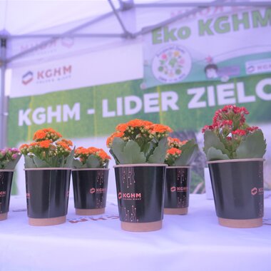 Zielona akcja wolontariuszy KGHM i wychowanków Ośrodka Szkolno-Wychowawczego w Lubinie  (1)