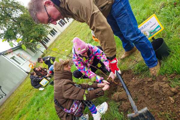 Zielona akcja wolontariuszy KGHM i wychowanków Ośrodka Szkolno-Wychowawczego w Lubinie  (1)