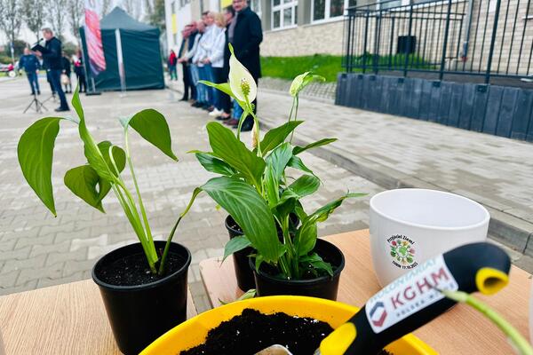 Zielona akcja wolontariuszy KGHM i wychowanków Ośrodka Szkolno-Wychowawczego w Lubinie  (3)