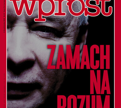 Okładka WPROST NR 41/2010