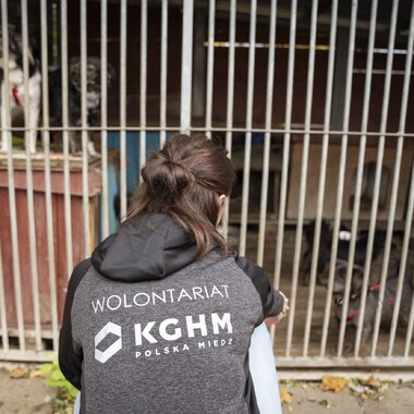 Zbiórka KGHM Podziel się dobrem dla zwierząt (8)