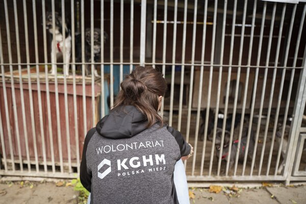 Zbiórka KGHM Podziel się dobrem dla zwierząt (8)