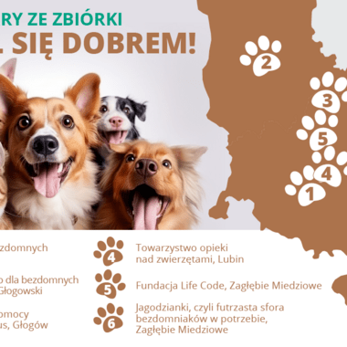 Mapa zbiórek KGHM - Podziel się dobrem