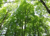 Jest szansa dla nas i przyrody – wyniki głosowania nad Nature Restoration Law