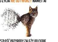 AI nie pomoże za Ciebie 