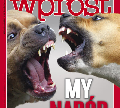 Okładka WPROST NR 44/2010