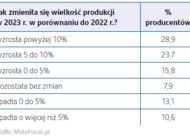 Sektor motoryzacyjny patrzy z optymizmem w 2024 rok