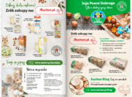 Auchan uruchamia pierwszą na rynku w pełni interaktywną zdigitalizowaną gazetkę