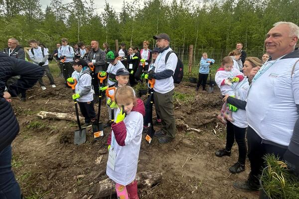 Wolontariusze KGHM posadzili kolejny las przy HMG (8)