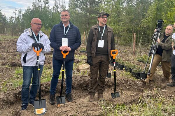 Wolontariusze KGHM posadzili kolejny las przy HMG (7)