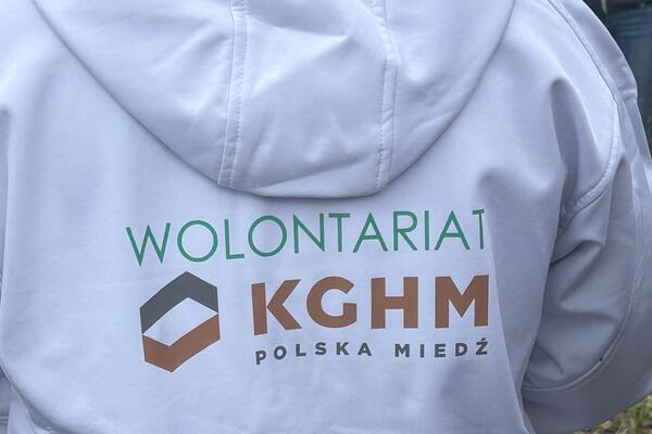 Wolontariusze KGHM posadzili kolejny las przy HMG (9)