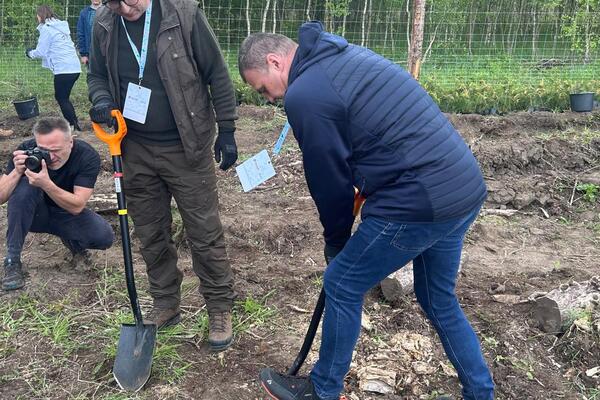 Wolontariusze KGHM posadzili kolejny las przy HMG (2)