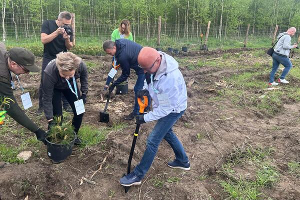 Wolontariusze KGHM posadzili kolejny las przy HMG (3)