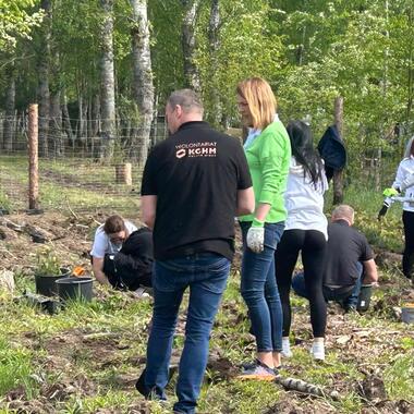 Wolontariusze KGHM posadzili kolejny las przy HMG (4)