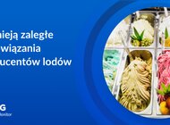 Producenci lodów i napojów w dobrej kondycji, nie tylko w letnim sezonie