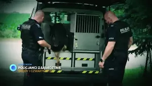 Nowy sezon „Policjantów z sąsiedztwa” od października w Telewizji WP 