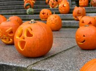 [ZAPROSZENIE] O Budżecie Obywatelskim PG podczas wycinania dyń na Halloween