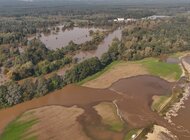 Rzeka betonu nikogo przed powodzią nie uratuje. Apel Koalicji Ratujmy Rzeki do rządzących