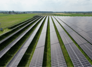 Auchan wkracza w kolejną fazę zielonej transformacji energetycznej 