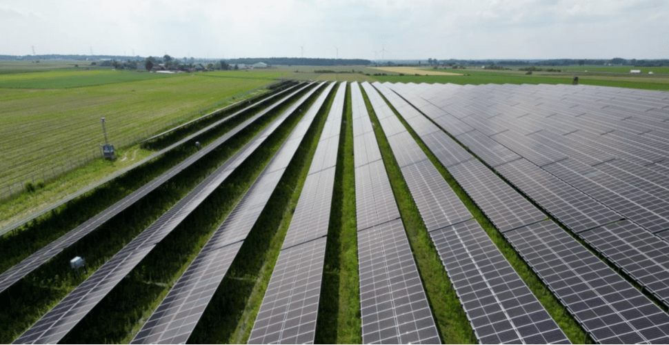 Auchan wkracza w kolejną fazę zielonej transformacji energetycznej 