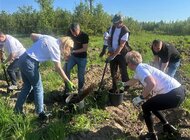 Wolontariusze KGHM dla środowiska – tysiące nowych sadzonek przy Hucie Miedzi Głogów