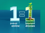 Volkswagen Financial Services posadzi kolejne 25 tys. drzew – rusza nowa odsłona proekologicznej akcji 
