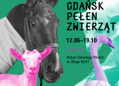 kafel kwadrat 1200x1200 px GDANSK PELEN ZWIERZAT
