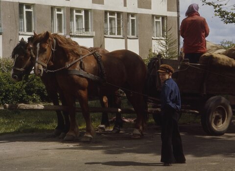 Bryczka na podwórku osiedla Tysiąclecia podczas Dni Hamburga, 1977, fot G P Reiche, mat. MG