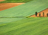 Raport Banku Pekao: Geopolityka na talerzu.  Przemysł spożywczy w nowych realiach gospodarczych