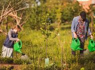 Fundacja Enea - Energia Wspólnoty przekazała niemal pół miliona złotych na lokalne zielone inicjatywy 