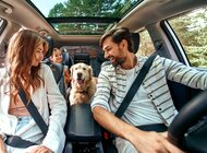 Jak Polacy wybierają wspólne rodzinne wakacje? Wyniki badania