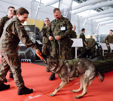 Terytorialsi na MSPO 2025 – „Wspaniała Dwunastka” w centrum uwagi
