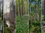 Dzięki działaniom Fundacji WWF Polska, powstały nowe rezerwaty 