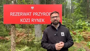 Dzięki działaniom Fundacji WWF Polska, powstały nowe rezerwaty 