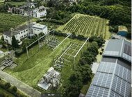 Stabilność sieci dystrybucyjnej w obliczu zmian klimatu