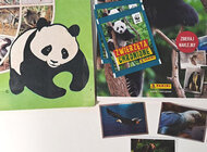Kultowy album WWF z lat 90. w nowej odsłonie