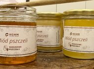 „Miedziowe Pszczoły” w akcji – II Miodobranie w KGHM za nami