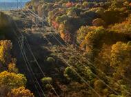 Świadomość współtworzy przemiany – rola dystrybutorów energii elektrycznej