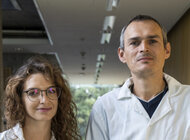 Lepsza terapia dzięki nowej formie nimesulidu: wynalazek naukowców z UG z patentem europejskim