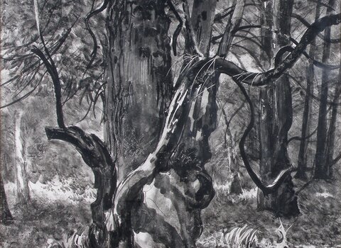 „Cis z rezerwatu w Wierzchlesie”, 1930, tusz na kartonie
Czarno-biały rysunek przedstawiający potężny, stary cis o nieregularnym pniu i rozłożystych konarach. W tle widoczny jest gęsty las, a u stóp drzewa – fragment szkieletu zwierzęcia, nadający scenie symboliczny, melancholijny charakter.