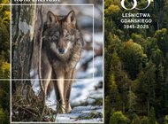 Konferencja  "Wilki blisko nas. Koegzystencja ludzi i wilków w pomorskich lasach" - zapraszamy 