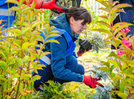 Pomaganie, które łączy. Wolontariat pracowniczy Procter & Gamble oczami jego uczestników