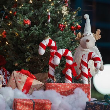 Prawie tysiąc paczek wolontariuszy ERGO Hestii 