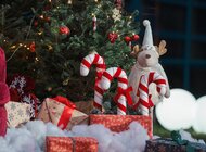 Prawie tysiąc paczek wolontariuszy ERGO Hestii 