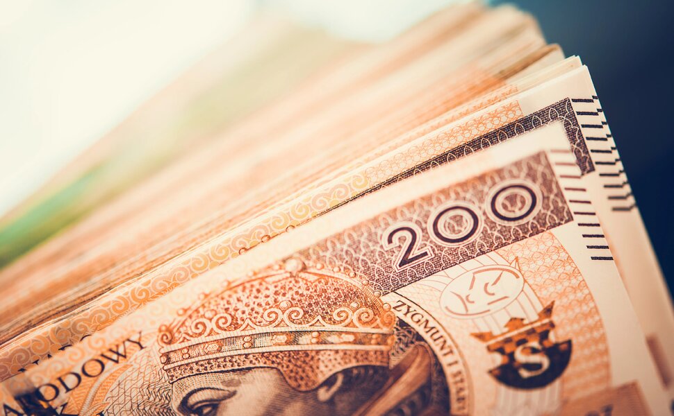 RPP w trybie „standby”, choć nad głowami członków Rady fruwają gołębie. Komentarz analityków PZU