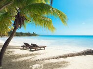 Zima pod palmami. Polacy chętnie wybierają się na egzotyczne ferie