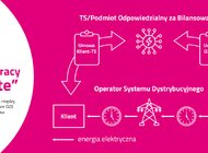 Zielona energia wprost ze źródła. Firmy korzystają z nowych rozwiązań w Tauronie