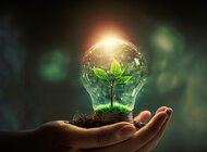 Bank Pekao przyjął Plan Dekarbonizacji Grupy Kapitałowej  w odpowiedzi na wyzwania klimatyczne i regulacyjne